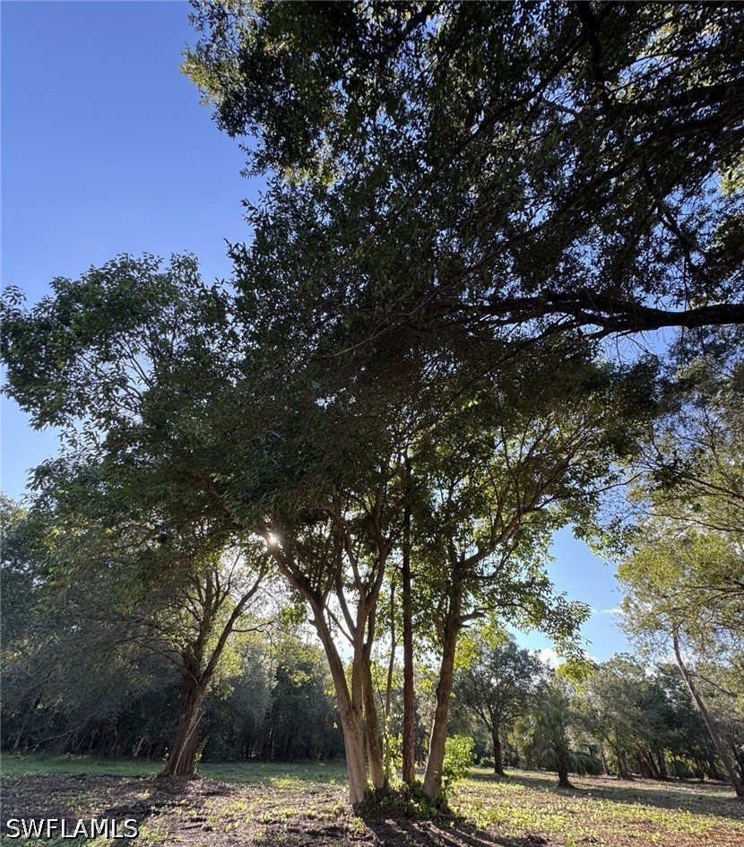 Acreage for Sale in Buckingham, photo 28