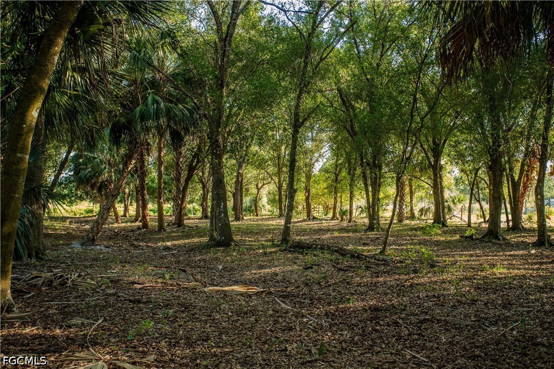 Acreage for Sale in Alva, photo 30