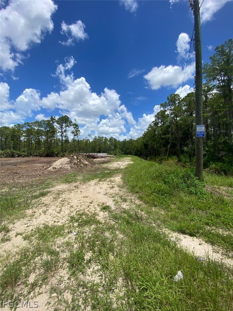 Acreage for Sale in Acreage, FL, $295,000 — photo 4