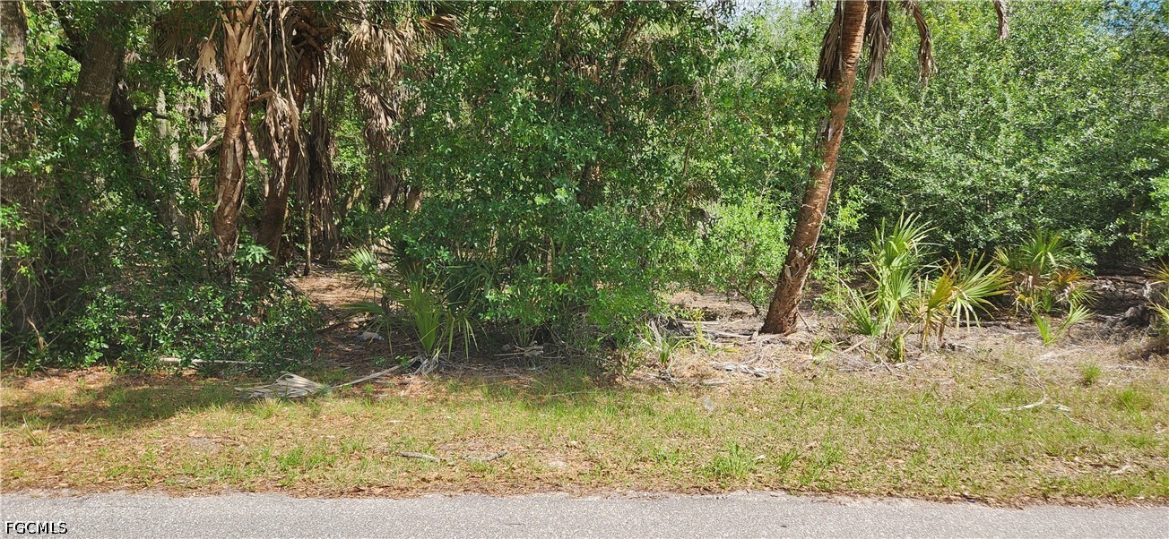 Residential for Sale in Port Charlotte, FL, $16,000 — photo 4