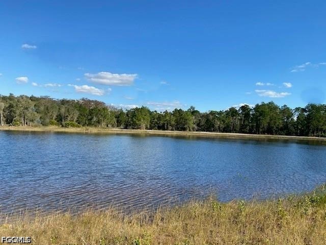 Residential for Sale in Mirror Lakes, FL, $34,900 — photo 4