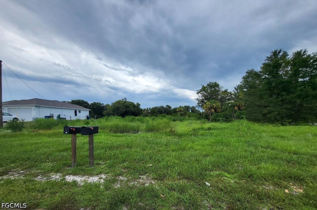 Acreage for Sale in Southwood, FL, $29,999 — photo 4
