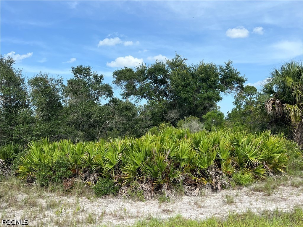Acreage for Sale in Lehigh Acres, photo 4