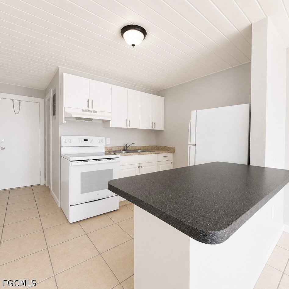 2 Bed Condominium for Sale in Fort Myers, FL, $1,095 — photo 4