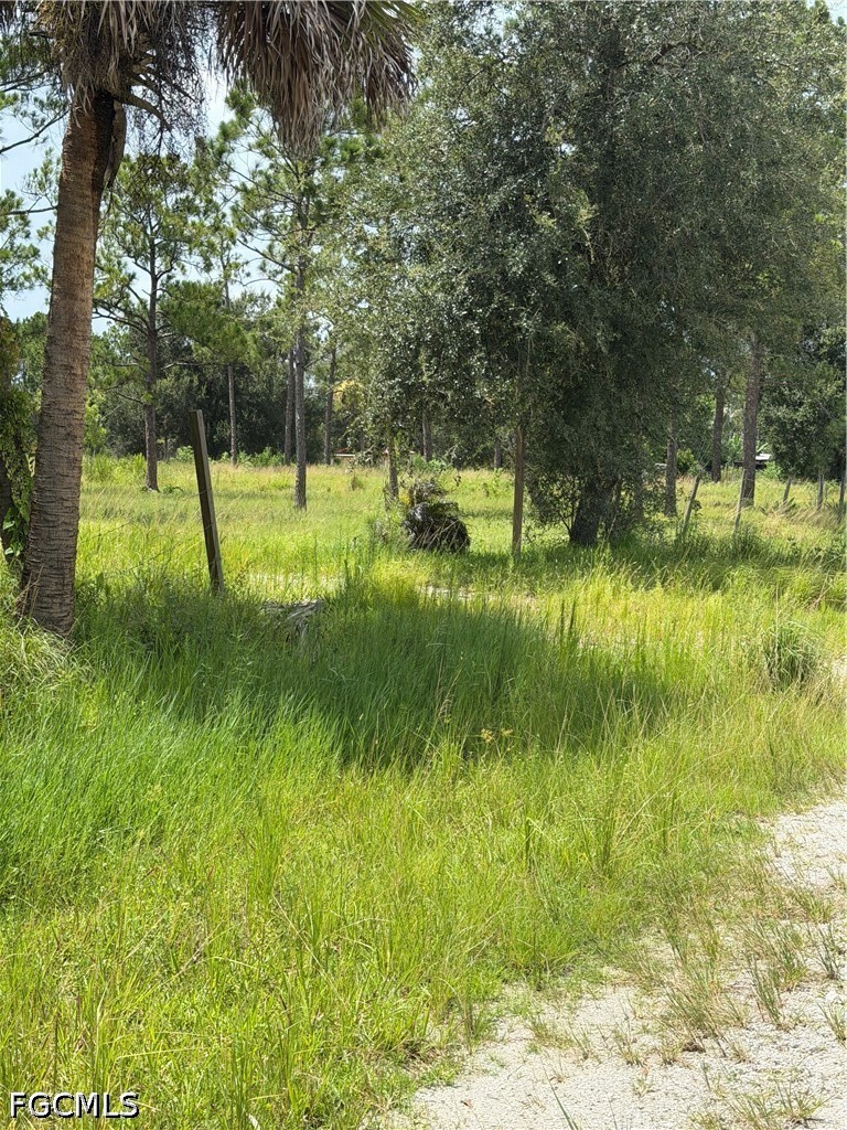 Residential for Sale in Montura Ranch Estates, FL, $65,000 — photo 4