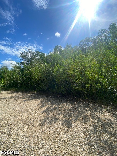 Waterfront Home for Sale in Acreage Header, FL, $35,000 — photo 4