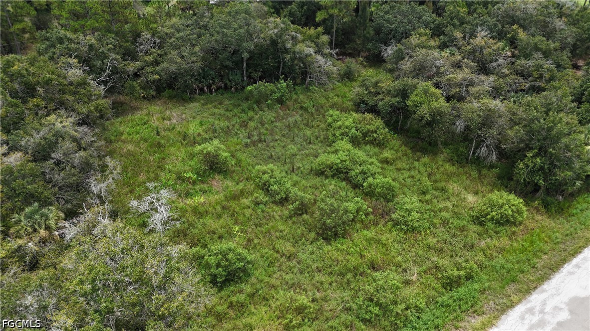 Residential for Sale in Lehigh Acres, FL, $27,999 — photo 4