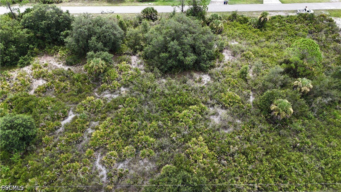 Residential for Sale in Lehigh Acres, FL, $44,900 — photo 4