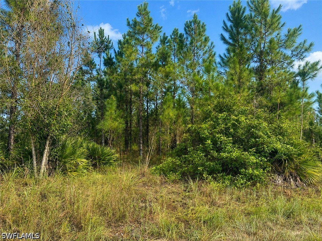 Residential for Sale in Lehigh Acres, FL, $59,000 — photo 4