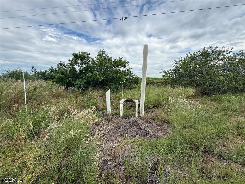 Acreage for Sale in Gerber Groves Sec 2, photo 4