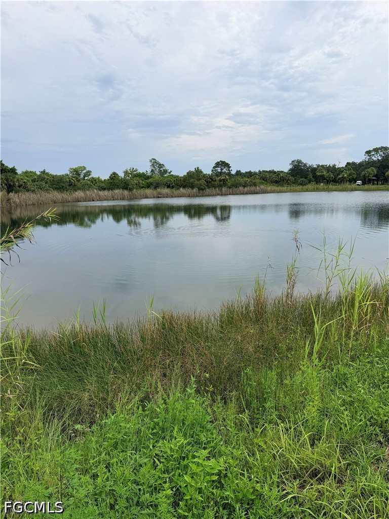 5 Bed Pool Home for Sale in Fort Myers, photo 4