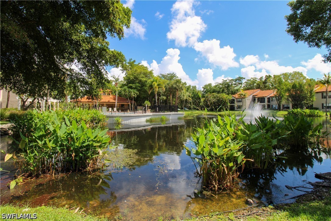 1 Bed Condominium for Sale in Oasis, photo 4