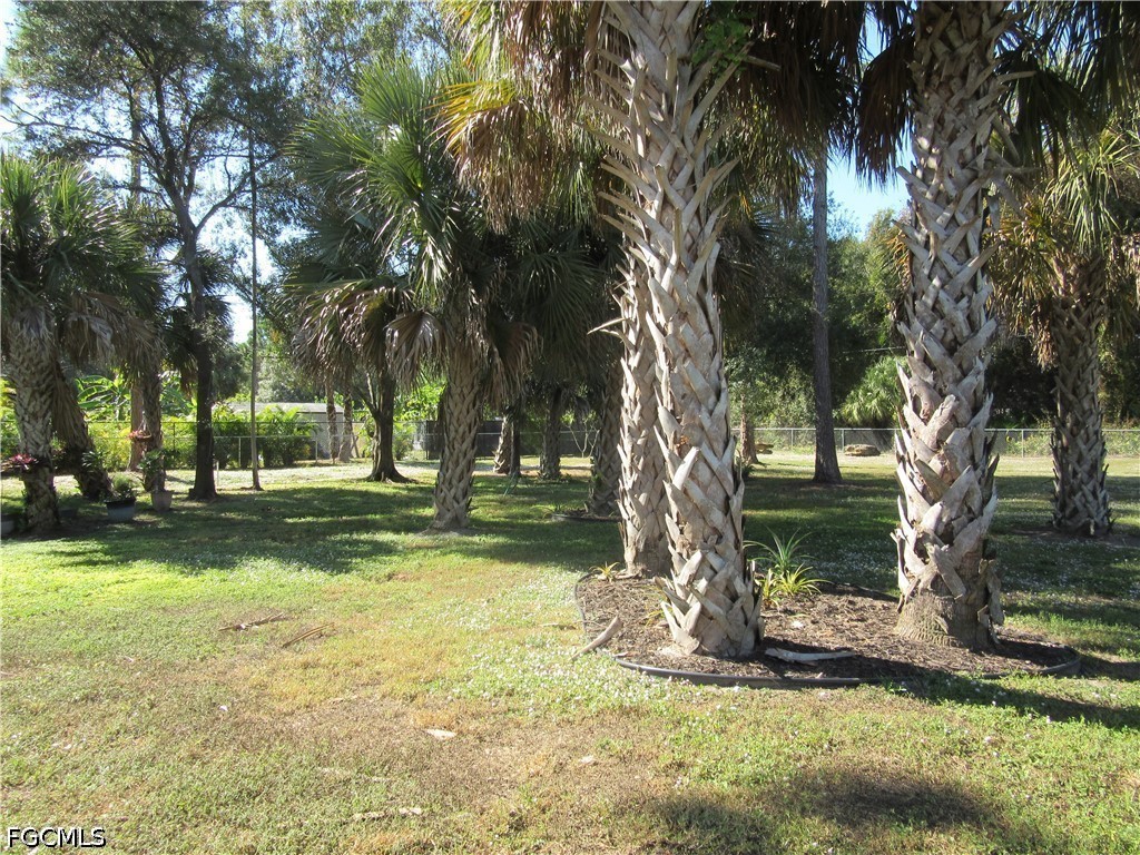 Acreage for Sale in Lehigh Acres, photo 4
