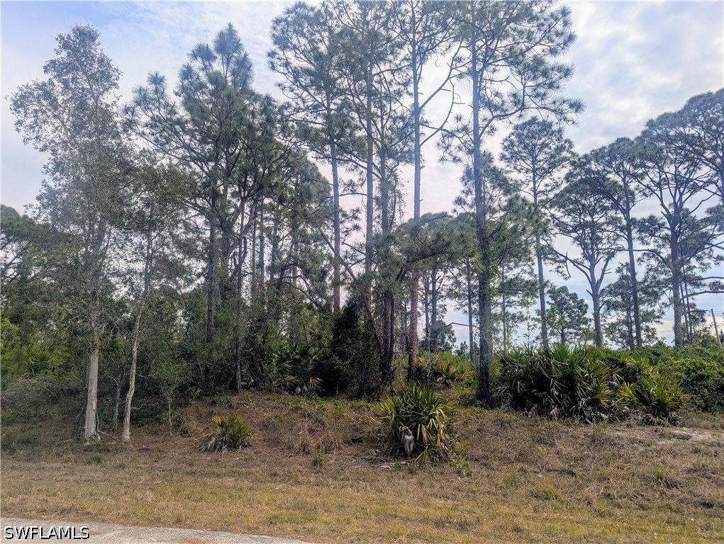 Residential for Sale in Lehigh Acres, photo 4