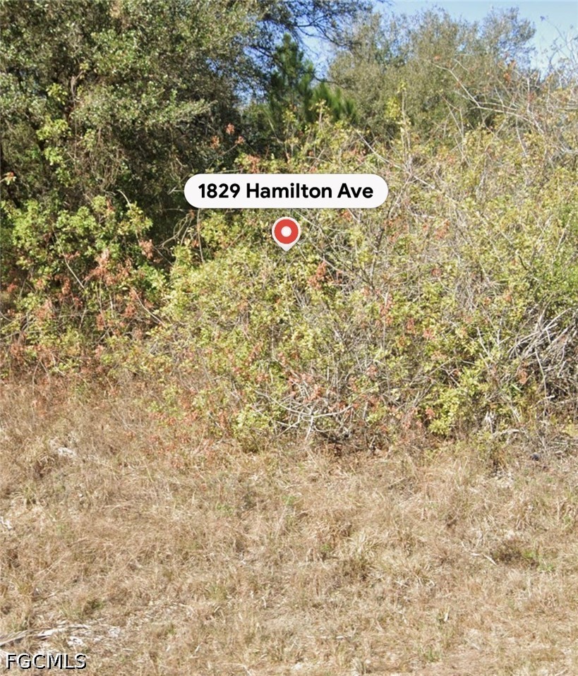 Residential for Sale in Lehigh Acres, photo 4