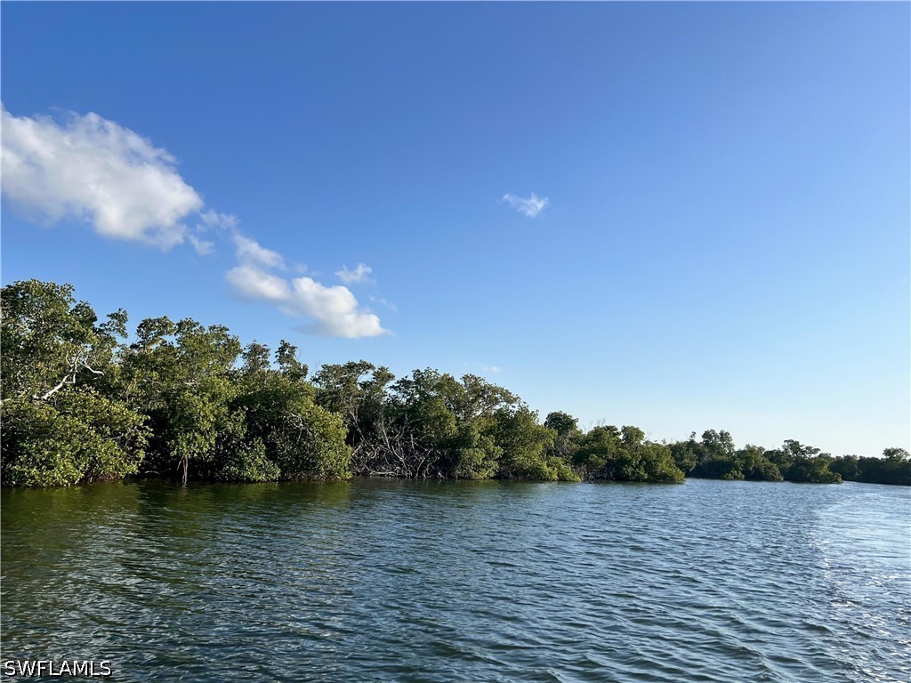 Waterfront Home for Sale in Acreage, photo 4