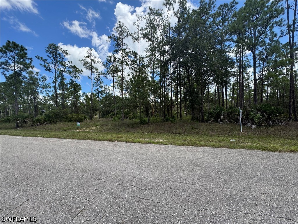 Acreage for Sale in Lehigh Acres, photo 4