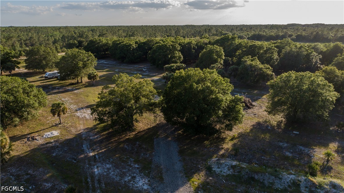 Acreage for Sale in Alva, photo 4