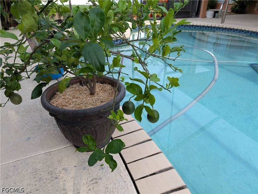 3 Bed Pool Home for Sale in Cape Coral, photo 33