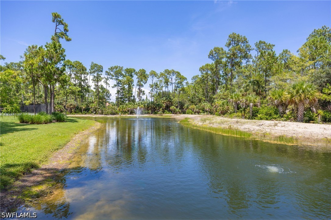 4 Bed Pool Home for Sale in Carlton Lakes, photo 40