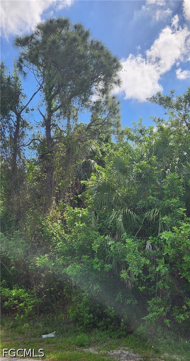 Residential for Sale in Port Charlotte, FL, $16,000 — photo 5