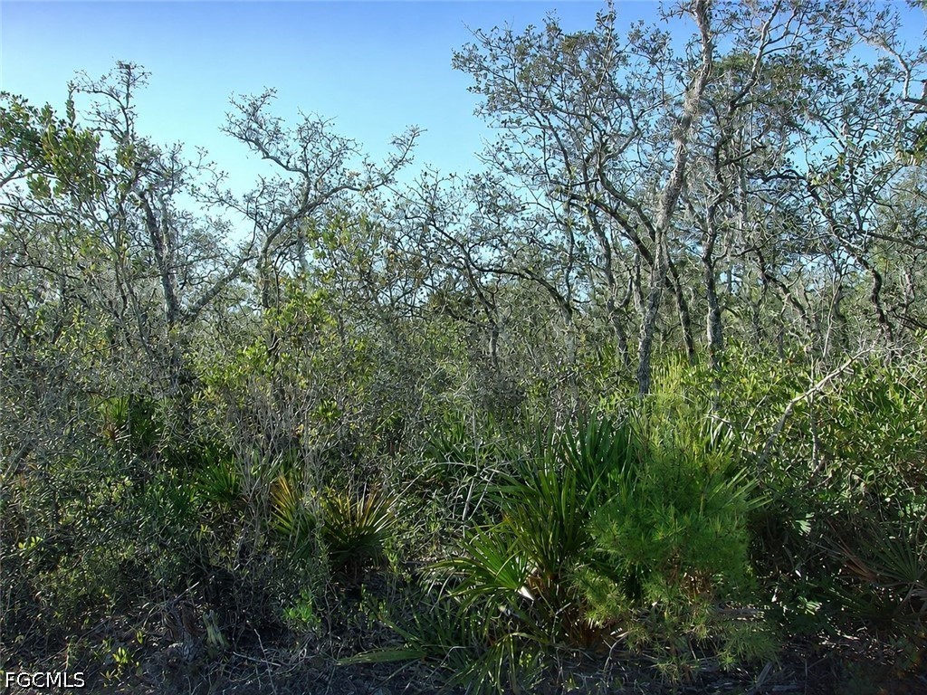 Residential for Sale in Fairmont, photo 5