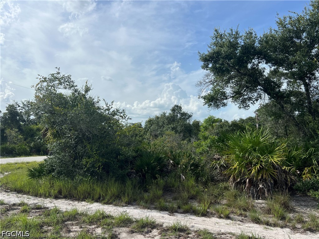 Acreage for Sale in Lehigh Acres, photo 5