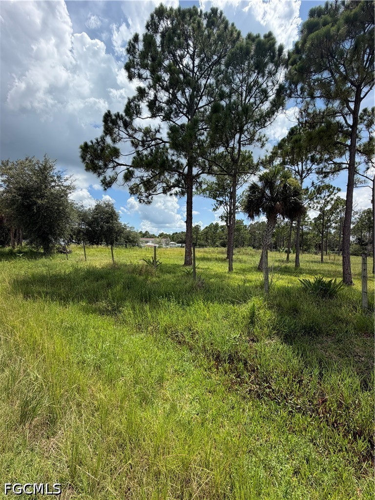 Residential for Sale in Montura Ranch Estates, FL, $65,000 — photo 5