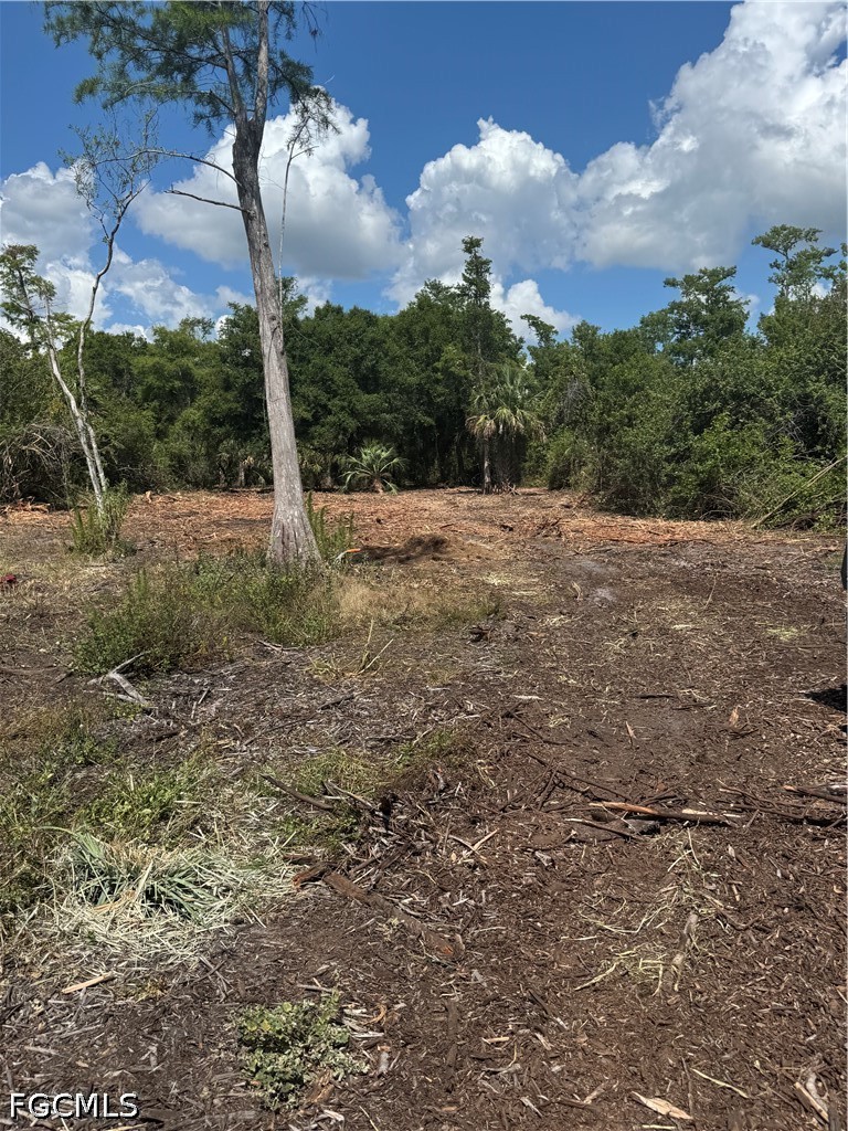 Residential for Sale in Golden Gate Estates, FL, $80,000 — photo 5