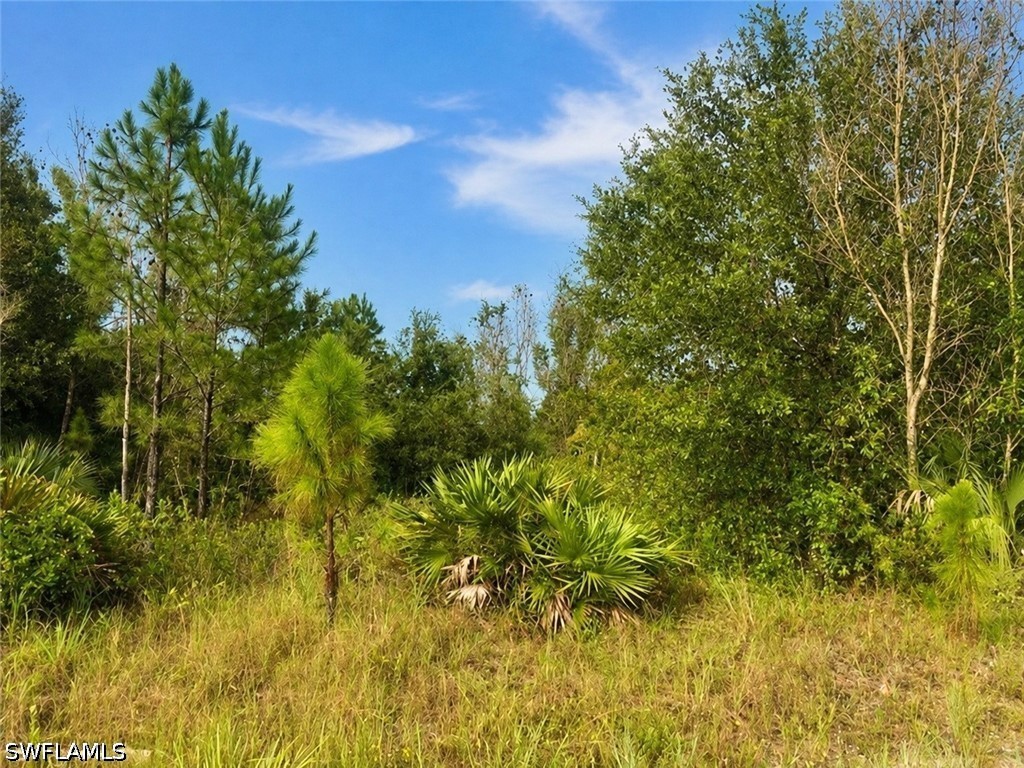 Residential for Sale in Lehigh Acres, FL, $59,000 — photo 5