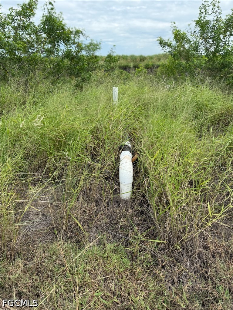 Acreage for Sale in Gerber Groves Sec 2, photo 5