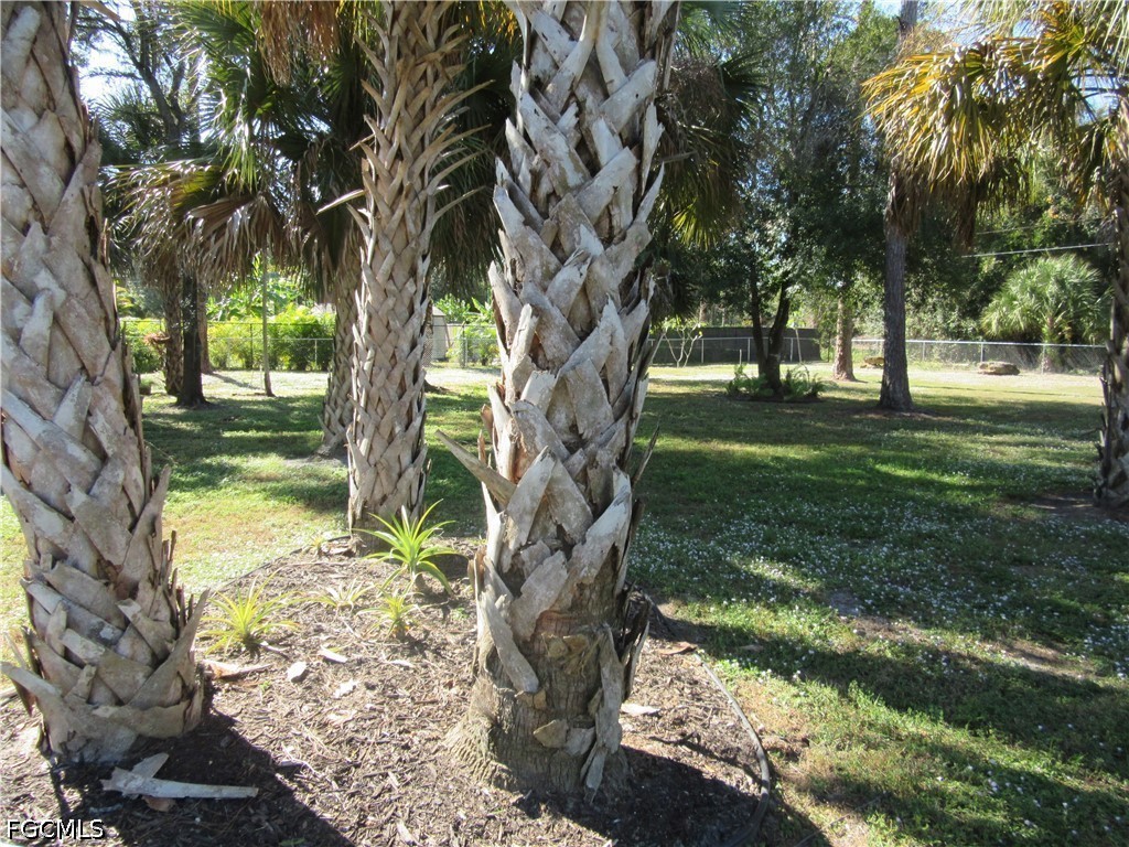 Acreage for Sale in Lehigh Acres, photo 5
