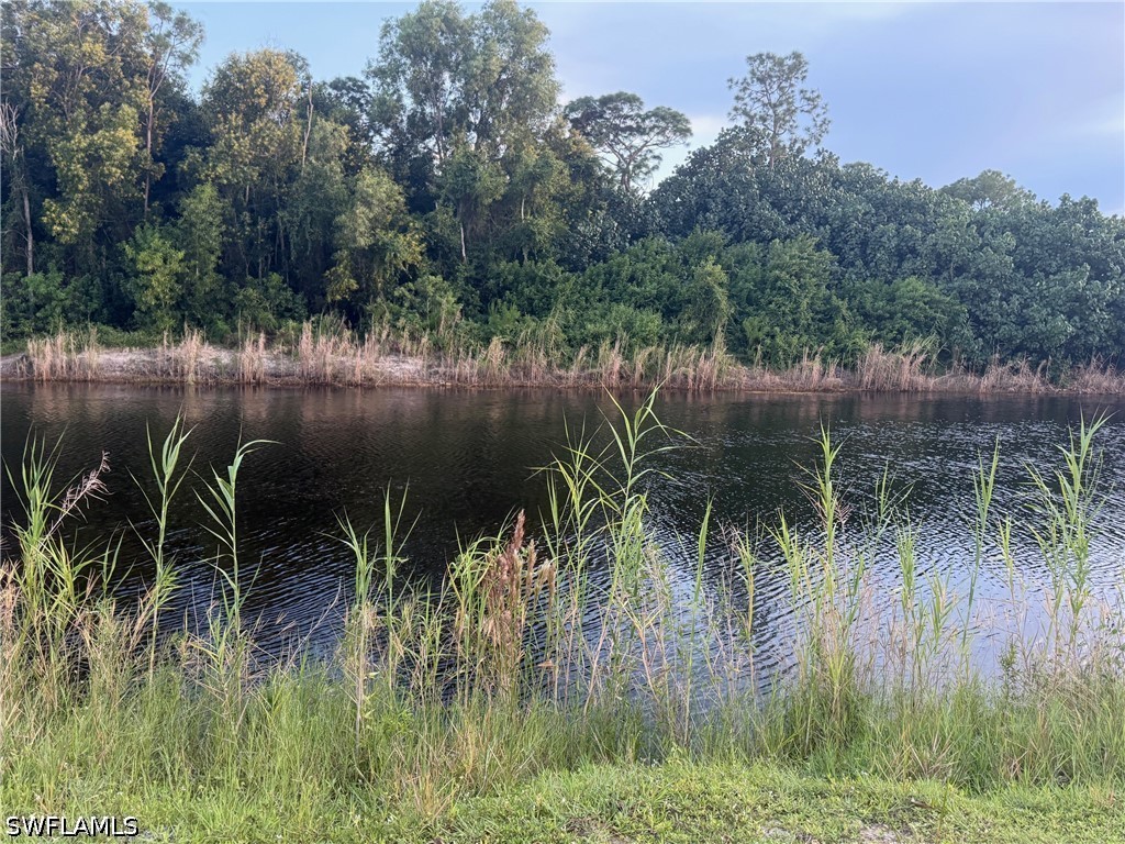 Waterfront Home for Sale in Other, photo 5