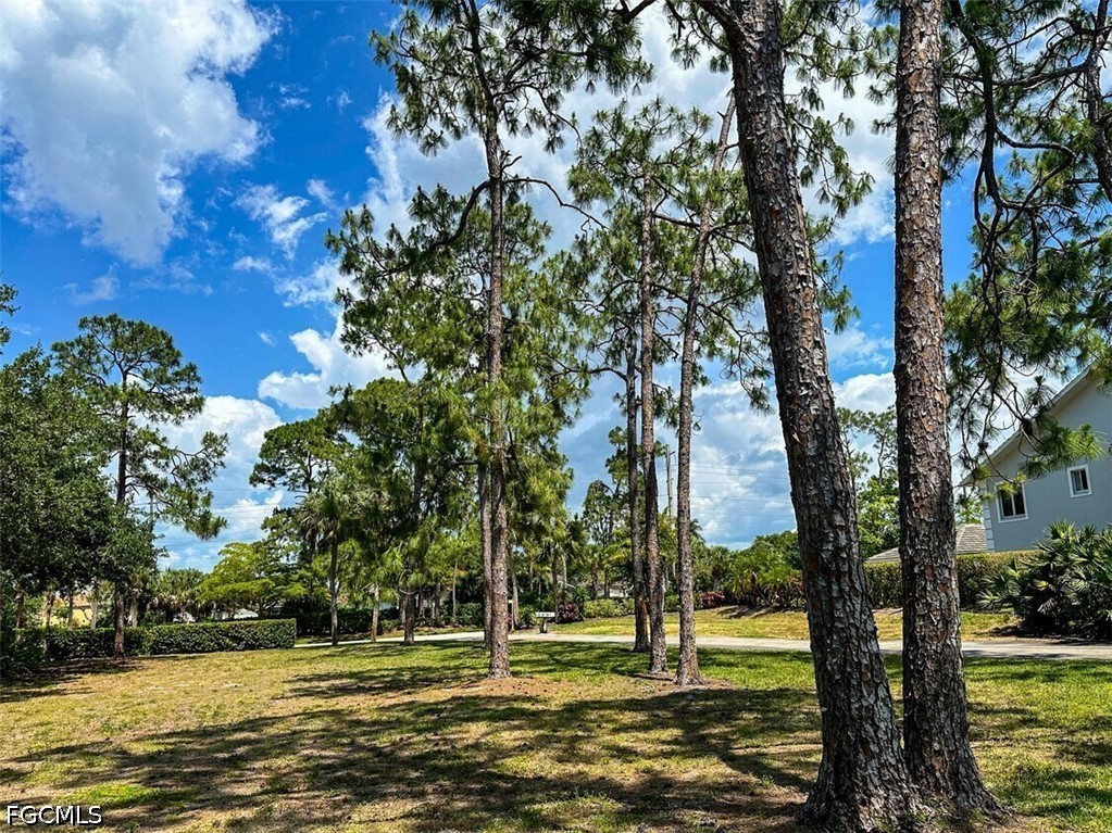 8 Bed Pool Home for Sale in Kings Lake, photo 5