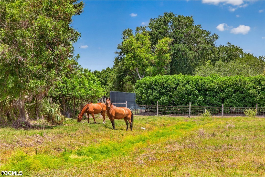 3 Bed Pool Home for Sale in Fort Myers, photo 41