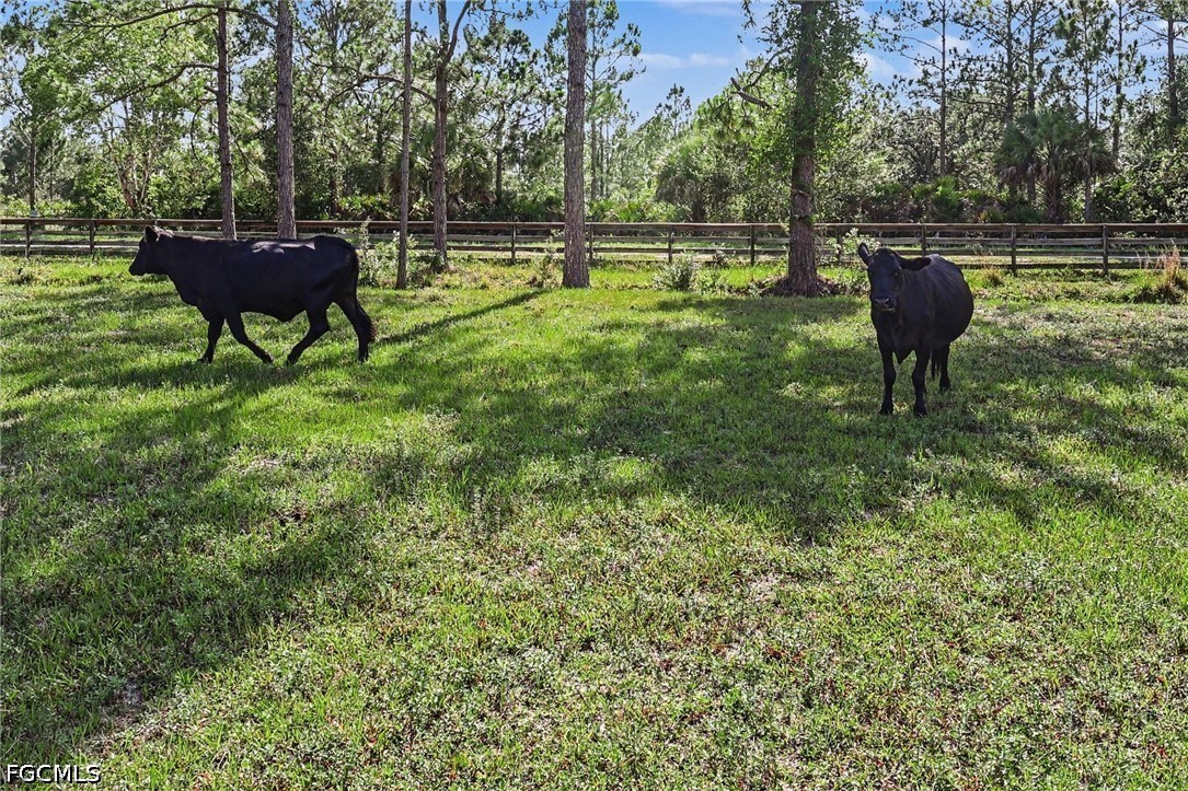 4 Bed Pool Home for Sale in Acreage, photo 44