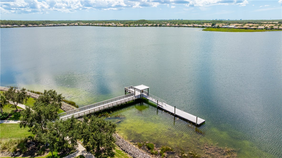 5 Bed Pool Home for Sale in Corkscrew Shores, photo 46