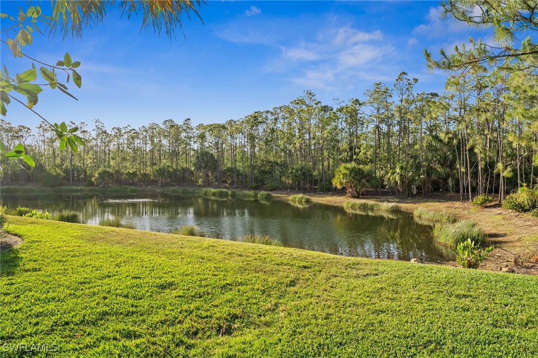 4 Bed Pool Home for Sale in Estero, FL, $2,185,000 — photo 48