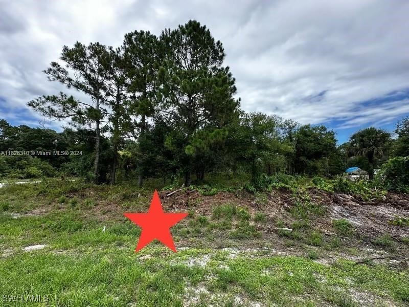 Residential for Sale in Montura Ranch Estates, photo 6