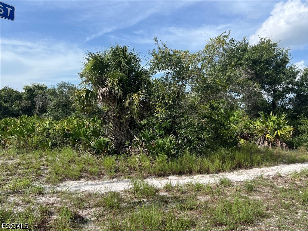 Acreage for Sale in Lehigh Acres, photo 6