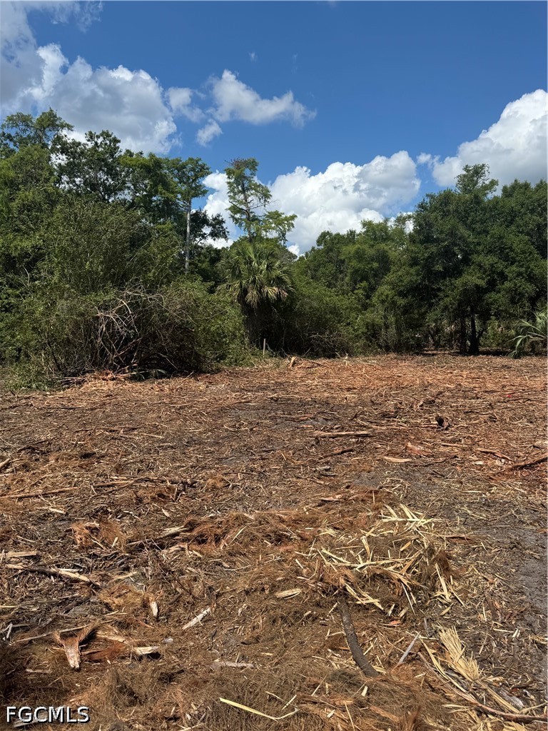 Residential for Sale in Golden Gate Estates, FL, $80,000 — photo 6