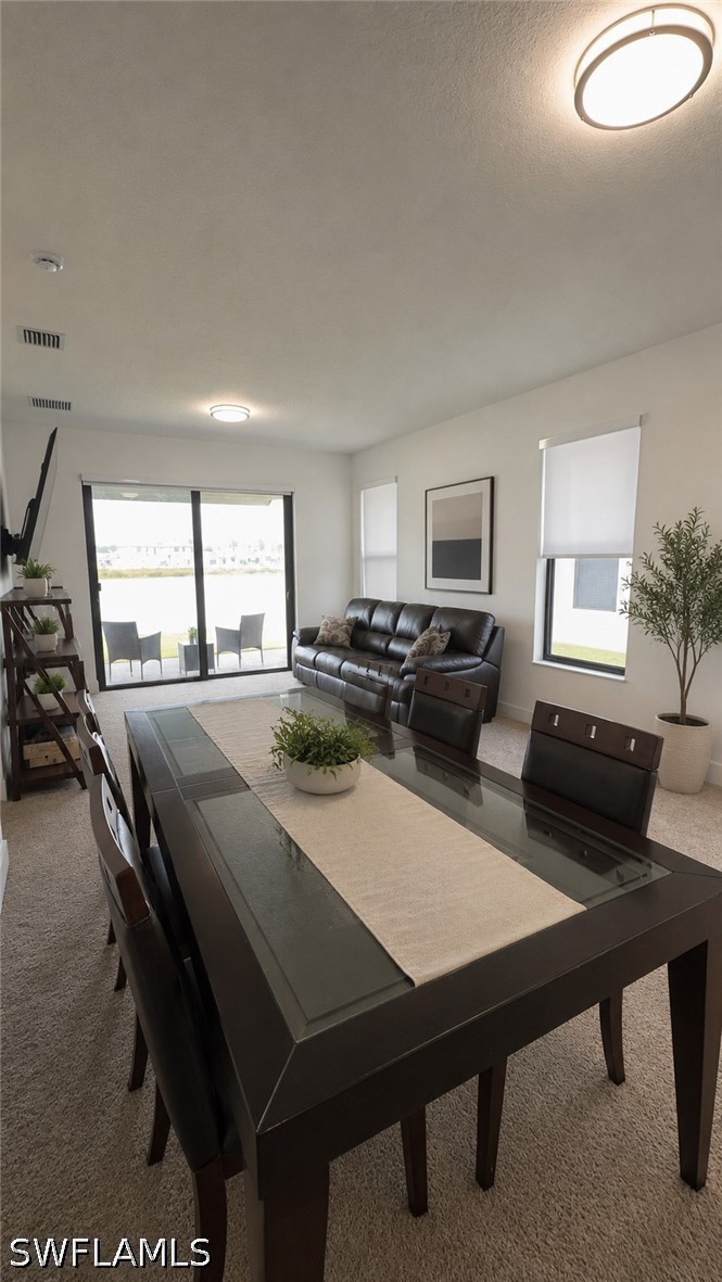 2 Bed Waterfront Home for Sale in Ave Maria, FL, $2,050 — photo 6