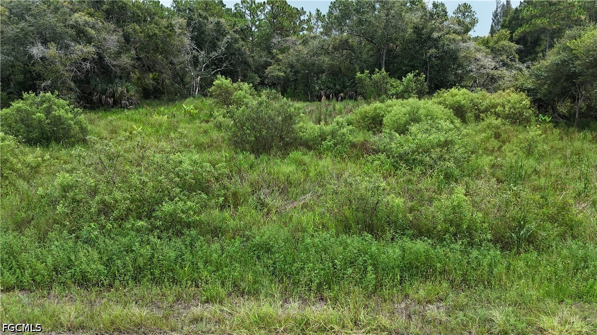 Residential for Sale in Lehigh Acres, FL, $27,999 — photo 6