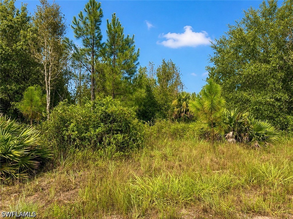 Residential for Sale in Lehigh Acres, FL, $59,000 — photo 6