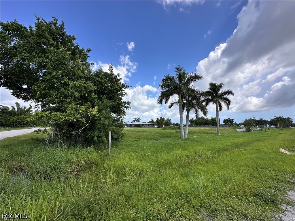 Acreage for Sale in Saddlewood Farms, photo 6