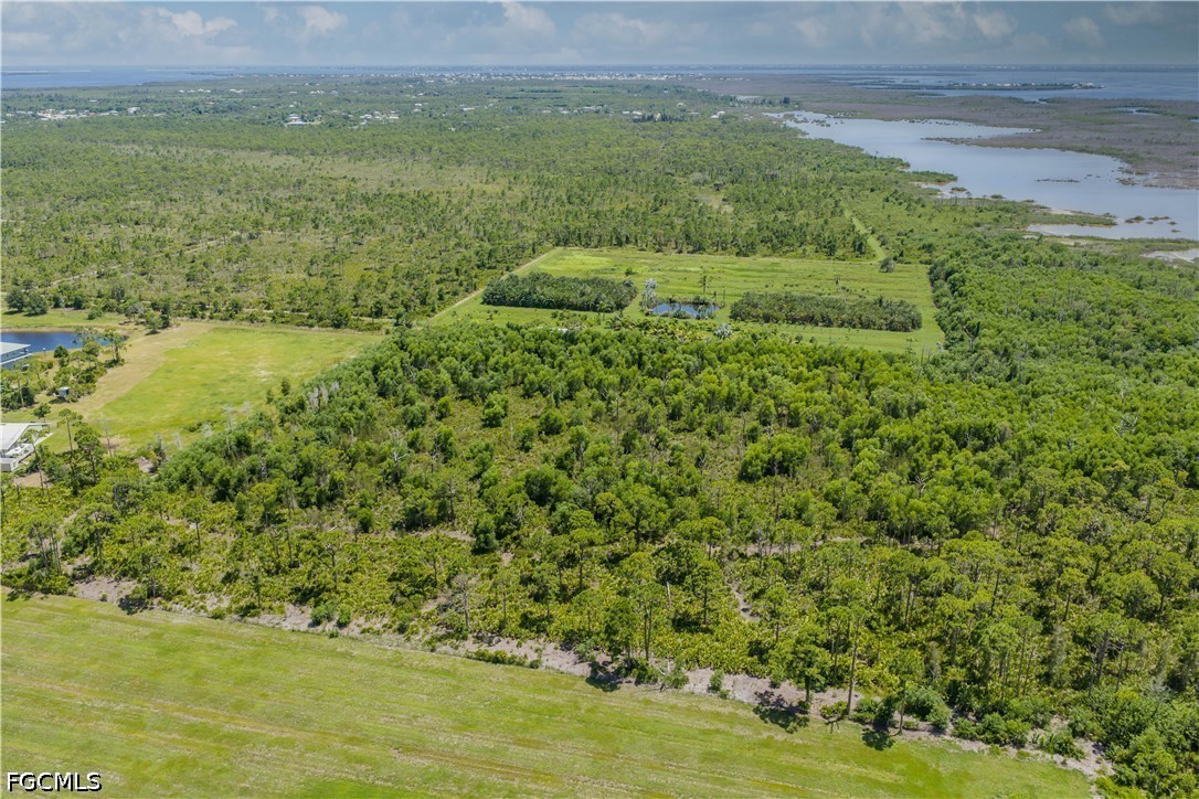 Acreage for Sale in St James City, photo 6