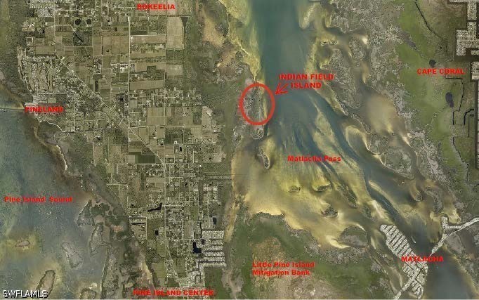 Waterfront Home for Sale in Acreage, photo 6