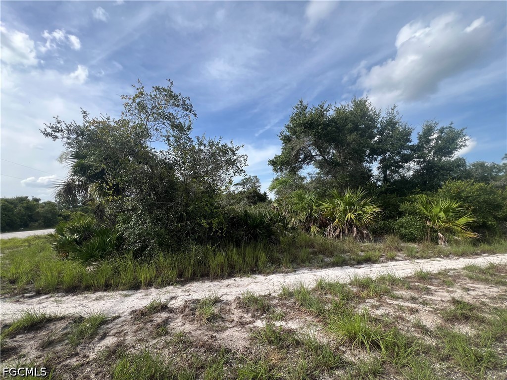 Acreage for Sale in Lehigh Acres, photo 7
