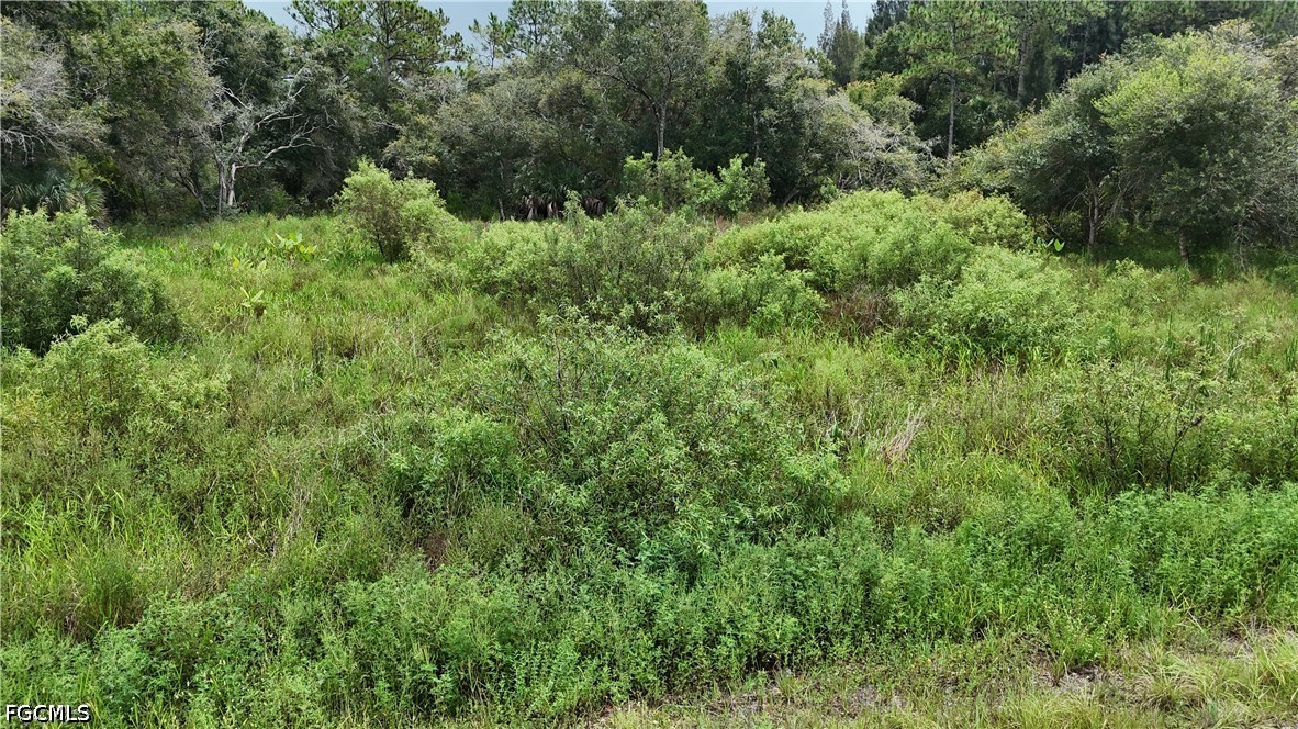 Residential for Sale in Lehigh Acres, FL, $27,999 — photo 7