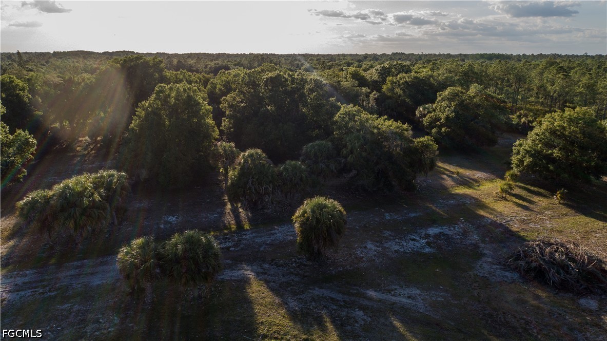 Acreage for Sale in Alva, photo 7